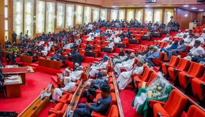 Nigeria’s Mining Sector Needs More Funding to Unlock Economic Potential, Lawmakers Tell FG