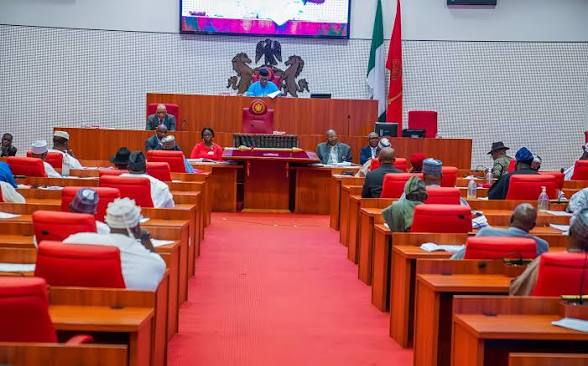 Senate Demands South Africa Guarantee Safety of Nigerians Amid Fresh Xenophobia Fears