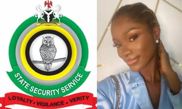 IPI Nigeria Secures Release of Journalist Detained by DSS Over Drone Possession