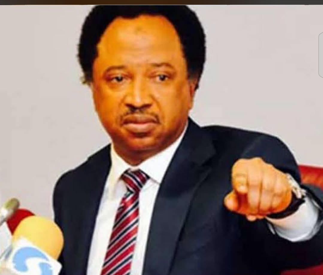 Northern Governors Have Enough Funds to Tackle Insecurity – Shehu Sani