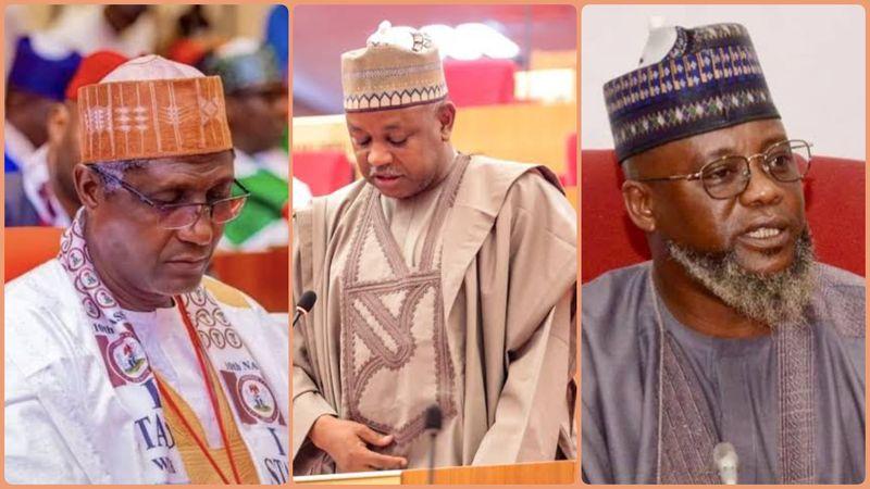 Duka 'Yan Majalisar Tarayya 18 Daga Jihar Katsina Sun Amince Da Takarar Gwamna Dikko Raɗɗa A Zaɓen 2027