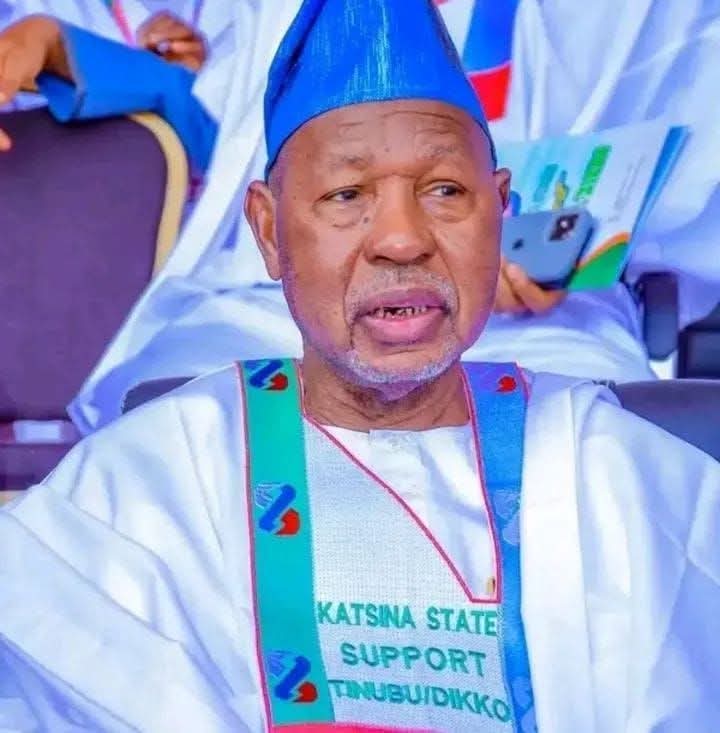 APC Replaces Uzodimma With Masari as Convention Committee Chair