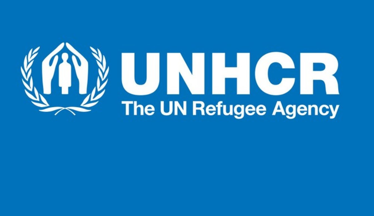 8,521 Nigerians flee to Niger, Cameroon and Chad in 6 months over insecurity