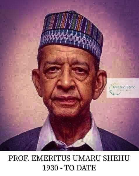 PROFESSOR UMARU SHEHU: A PIONEER OF PUBLIC HEALTH,  MEDICAL EDUCATION IN NIGERIA