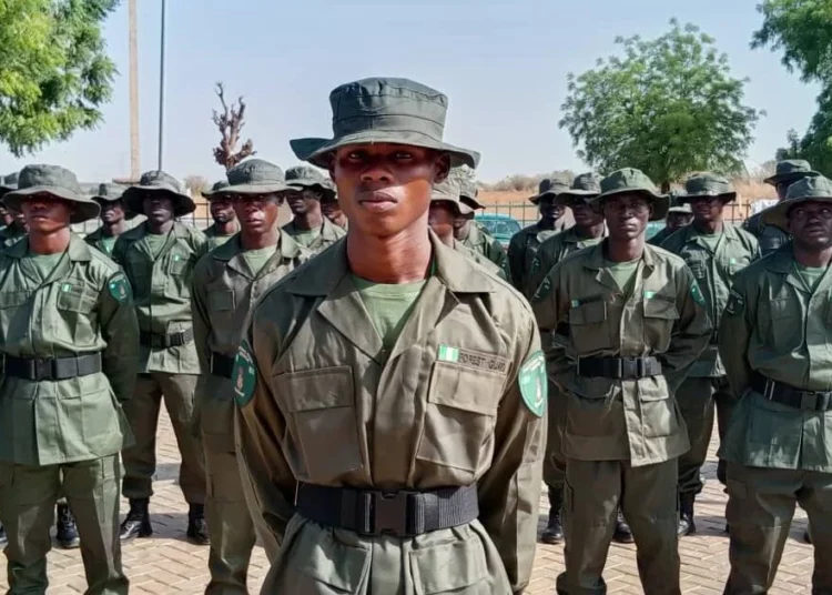 Tinubu Approves Recruitment of 1,000 Forest Guards to Strengthen Security in Katsina