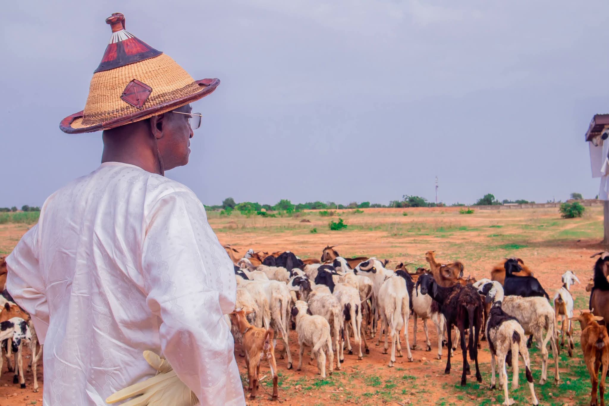 Maiha Commends Katsina’s Livestock Reforms