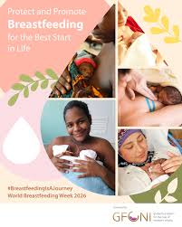 FG Rallies Nigerians to Back Breastfeeding, Says It Is Key to Healthier Children and National Growth