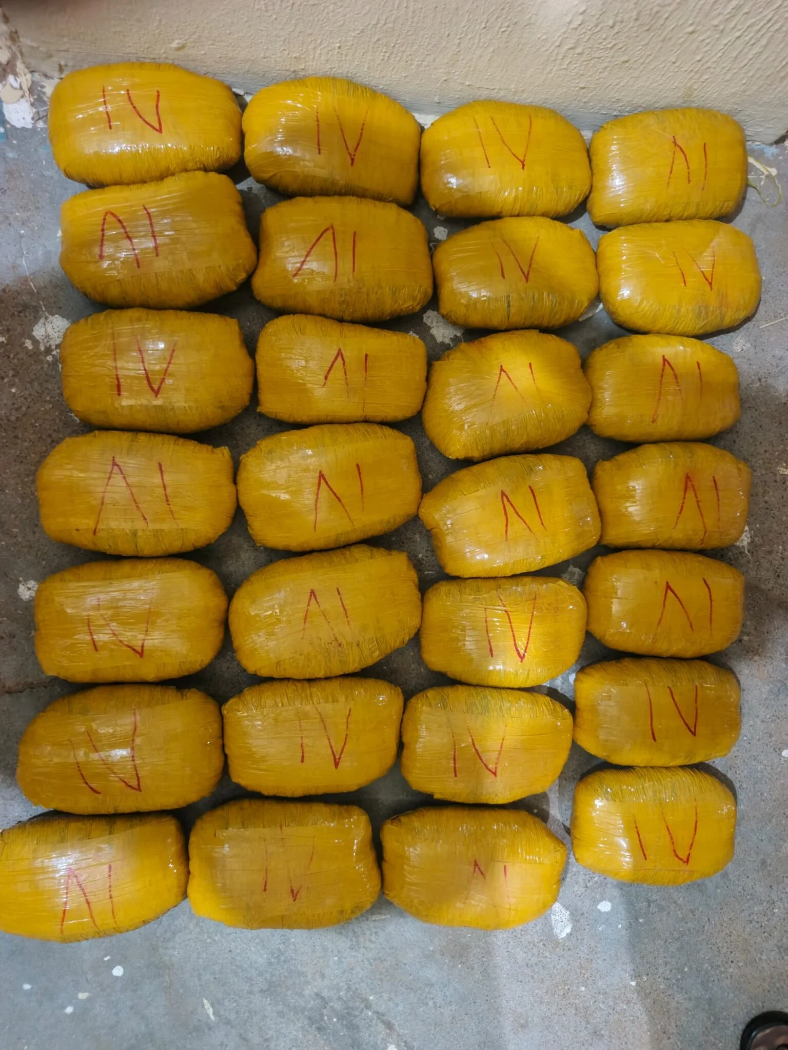 Katsina Police Arrest Suspected Drug Trafficker, Recover 28 Blocks of Suspected Cannabis