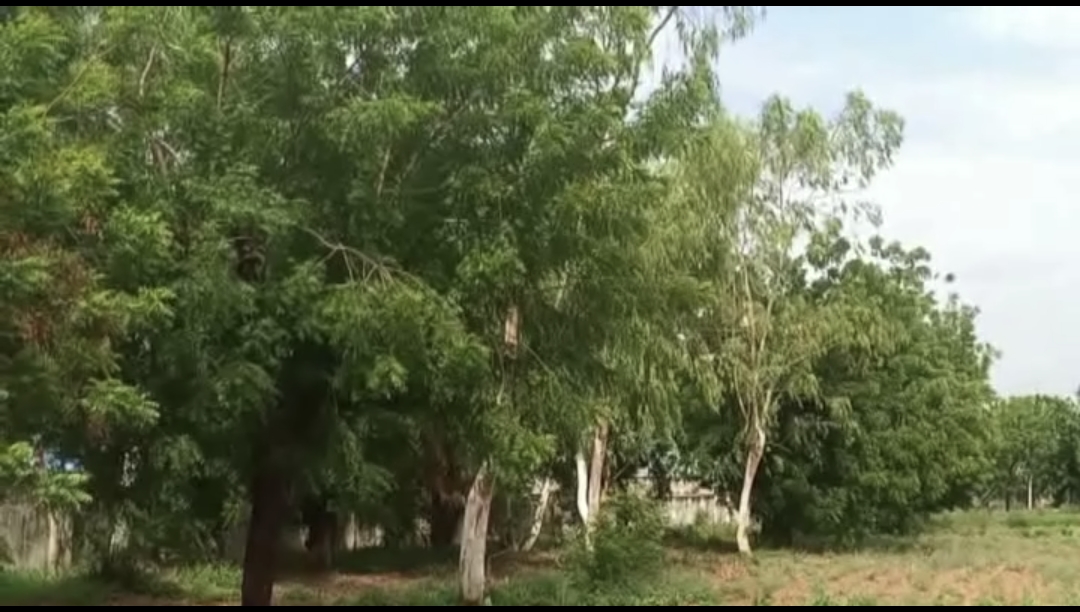 VIDEO: Fading Forest, Vanishing Remedies: The urgency of Plant Conservation