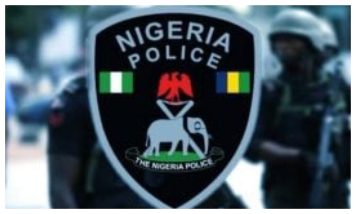 Police Arrest Suspected Shoplifter in Katsina