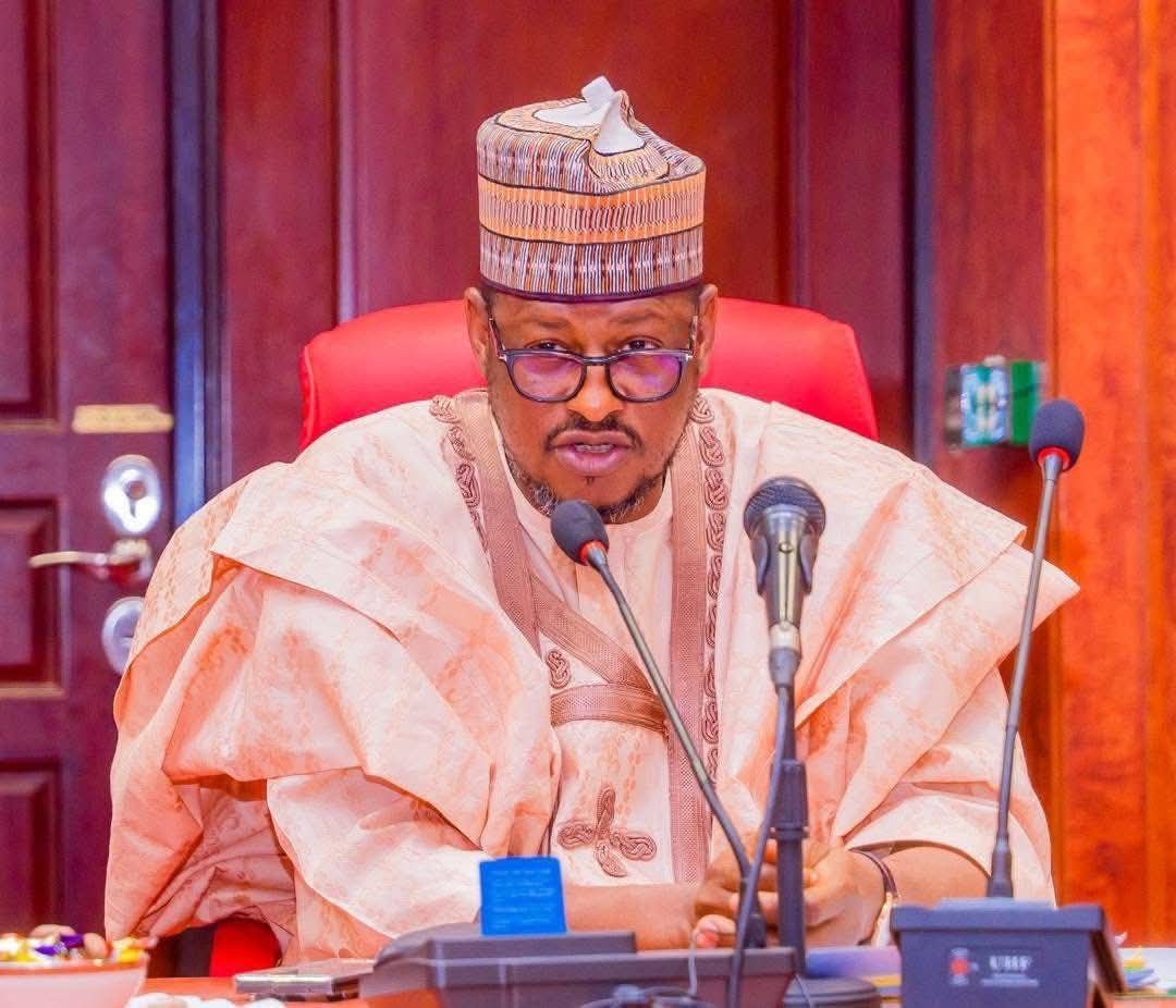 An Kashe Mutum Ɗaya, An Kwashi Dabbobi a wani Sabon Harin ’Yan Ta’adda a Bakori